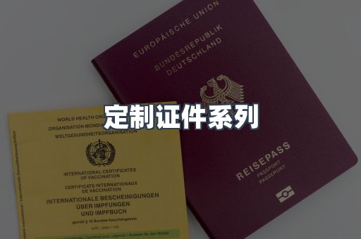定制证件系列